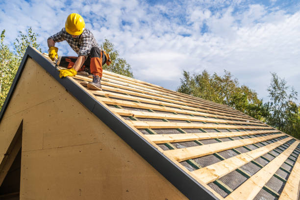 Best Roof Maintenance Services  in Mountain View, HI