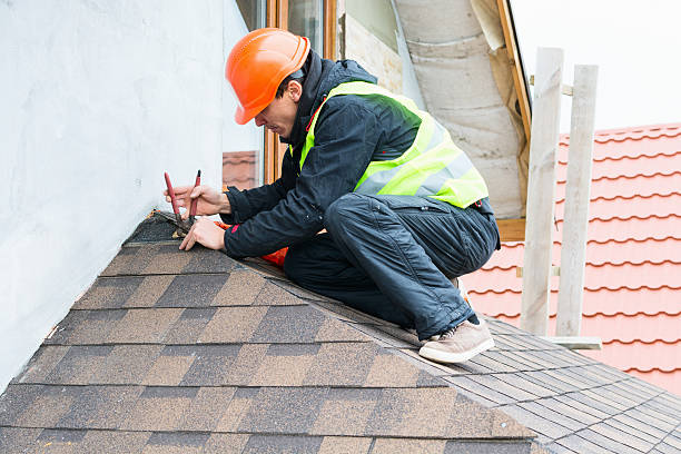 Best Roof Leak Repair  in Mountain View, HI