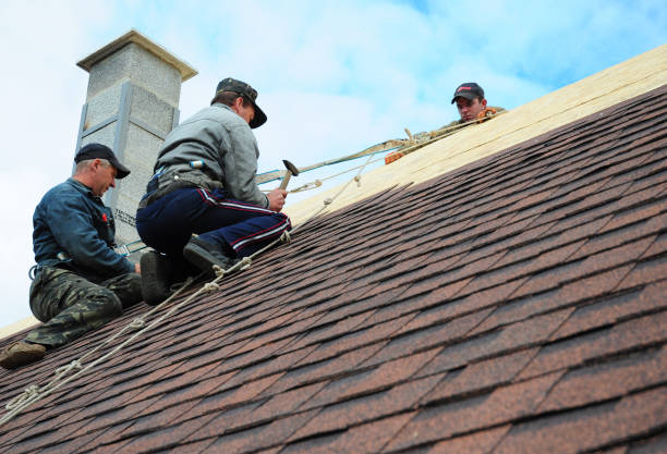 Best Commercial Roofing Services  in Mountain View, HI