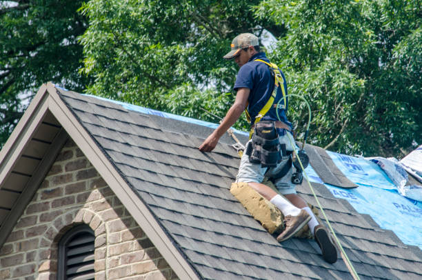 Roof Repair Estimates in Mountain View, HI